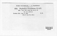 Asteromella pruni-mahaleb image